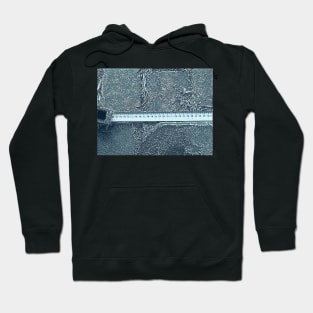 The Measure of Stone Hoodie